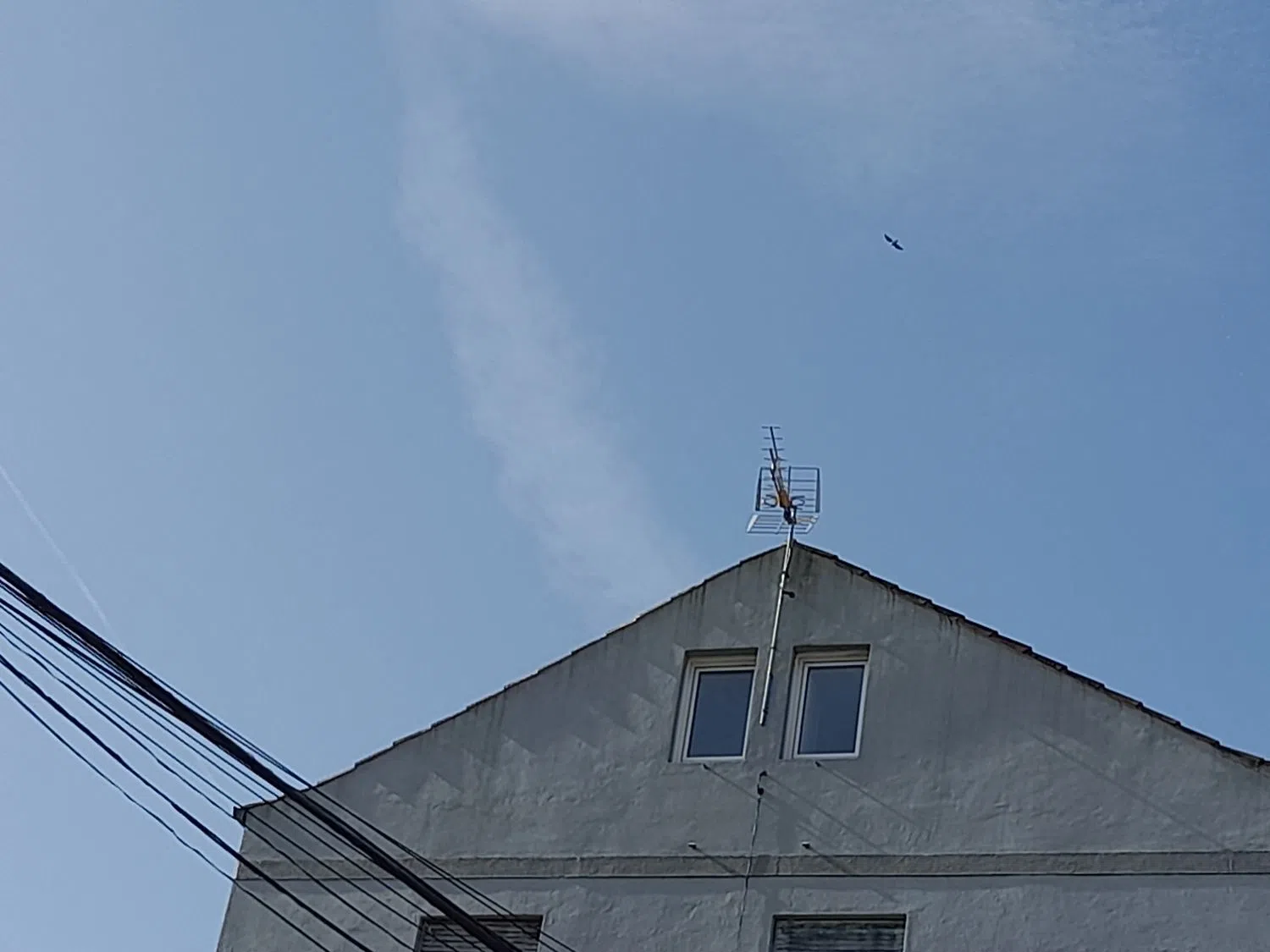 Ático en Subida Sello, 13 - Foto 6