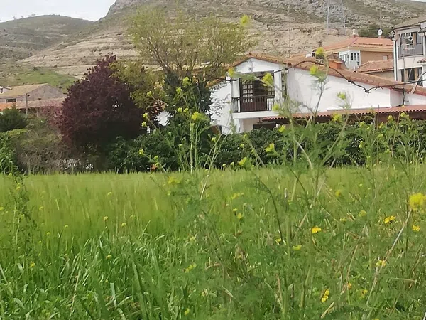 Casa o chalet independiente en Avenida de La Rioja, 6 - Foto 9