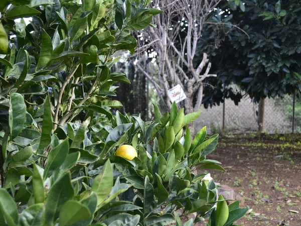 Casa independiente en calle el Roquillo, 18 - Foto 26