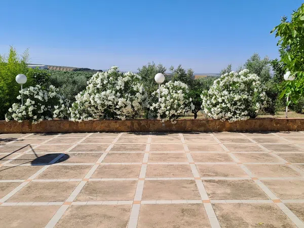Finca rústica en Fuente del cubo, 12 - Foto 5