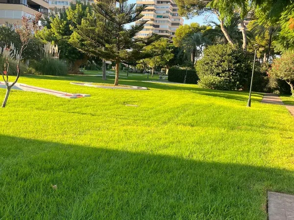 Piso en Avenida de Playamar, 70, Playamar - Benyamina - Foto 29