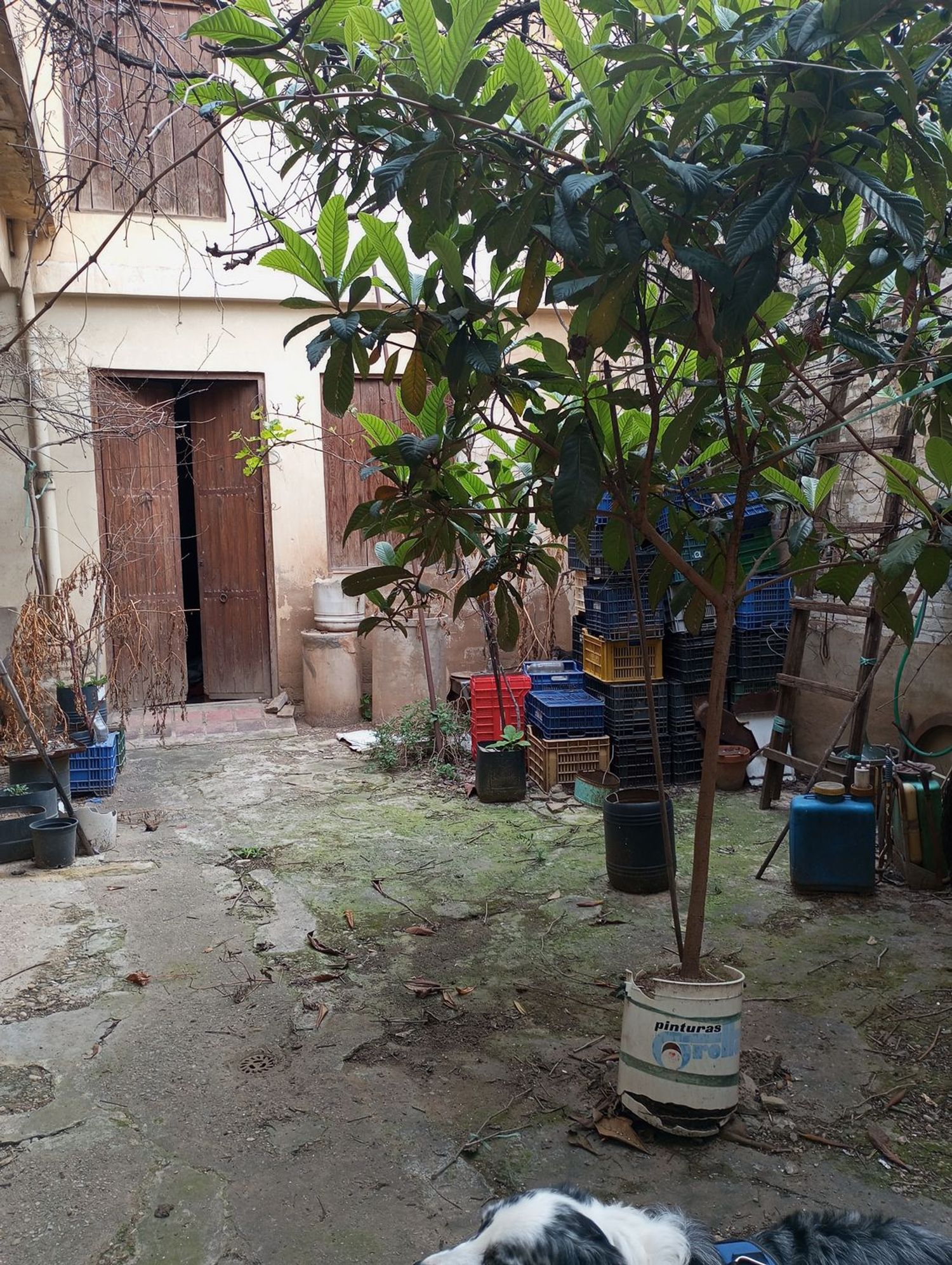 Casa de pueblo en Calle de Colón, 9 - Foto 10