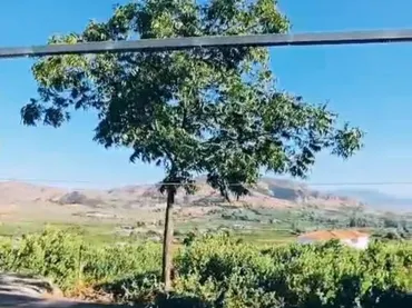 Finca rústica en  Poligono 15 5 - Foto 2