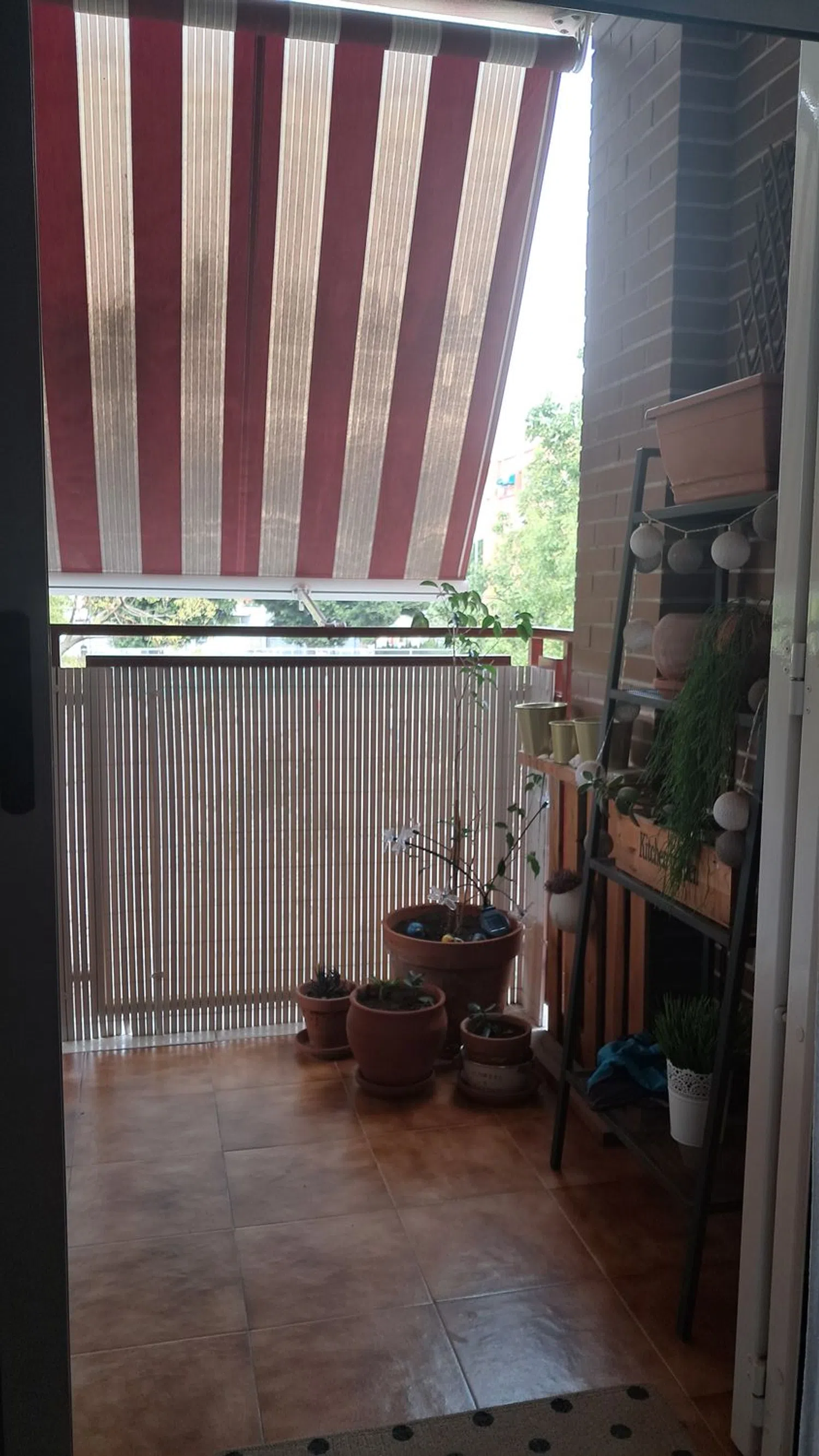 Piso en calle Jaime Campmany, 8 - Foto 5