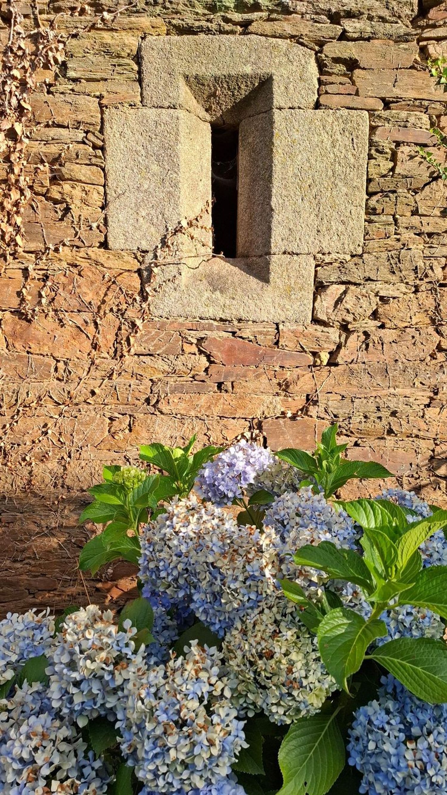 Palacio en Palacio en Monforte de Lemos - Foto 24