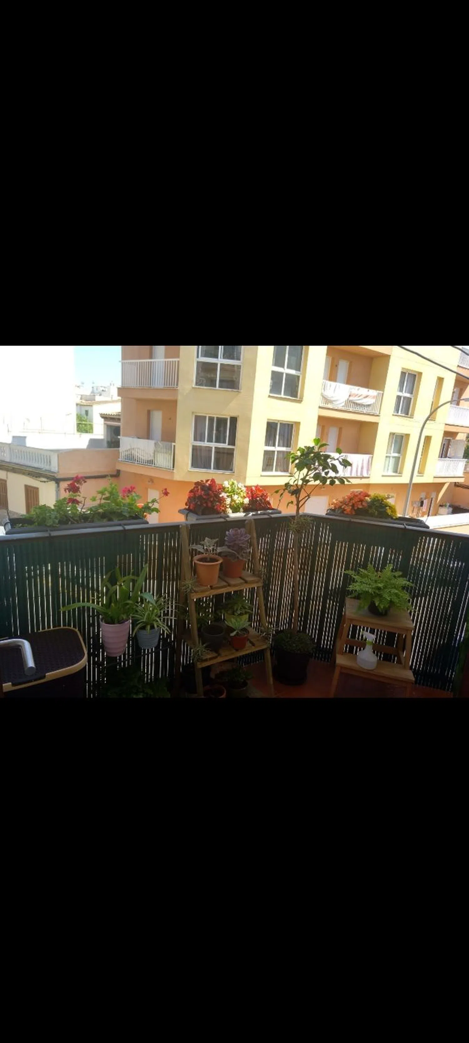 Piso - Foto 10