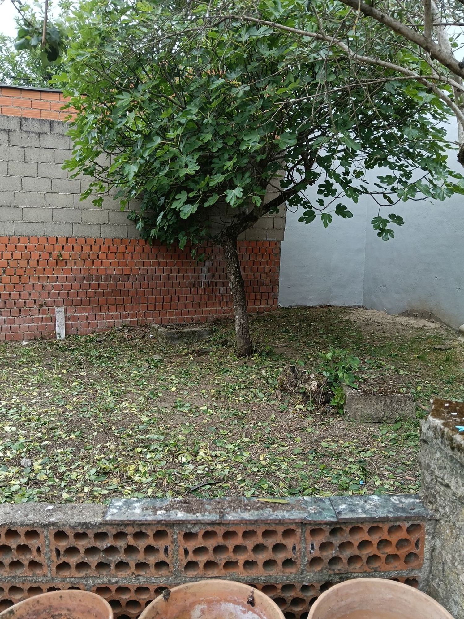 Casa de pueblo en Travesía Jaralillo, 5 - Foto 3