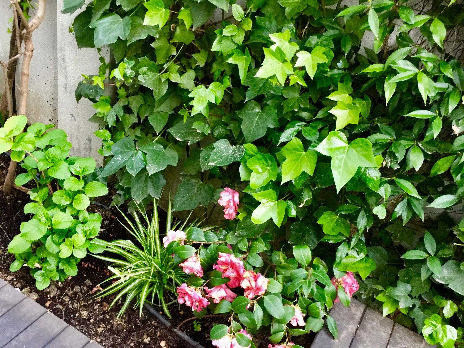 Piso en calle de Iturbe, 23 - Foto 10