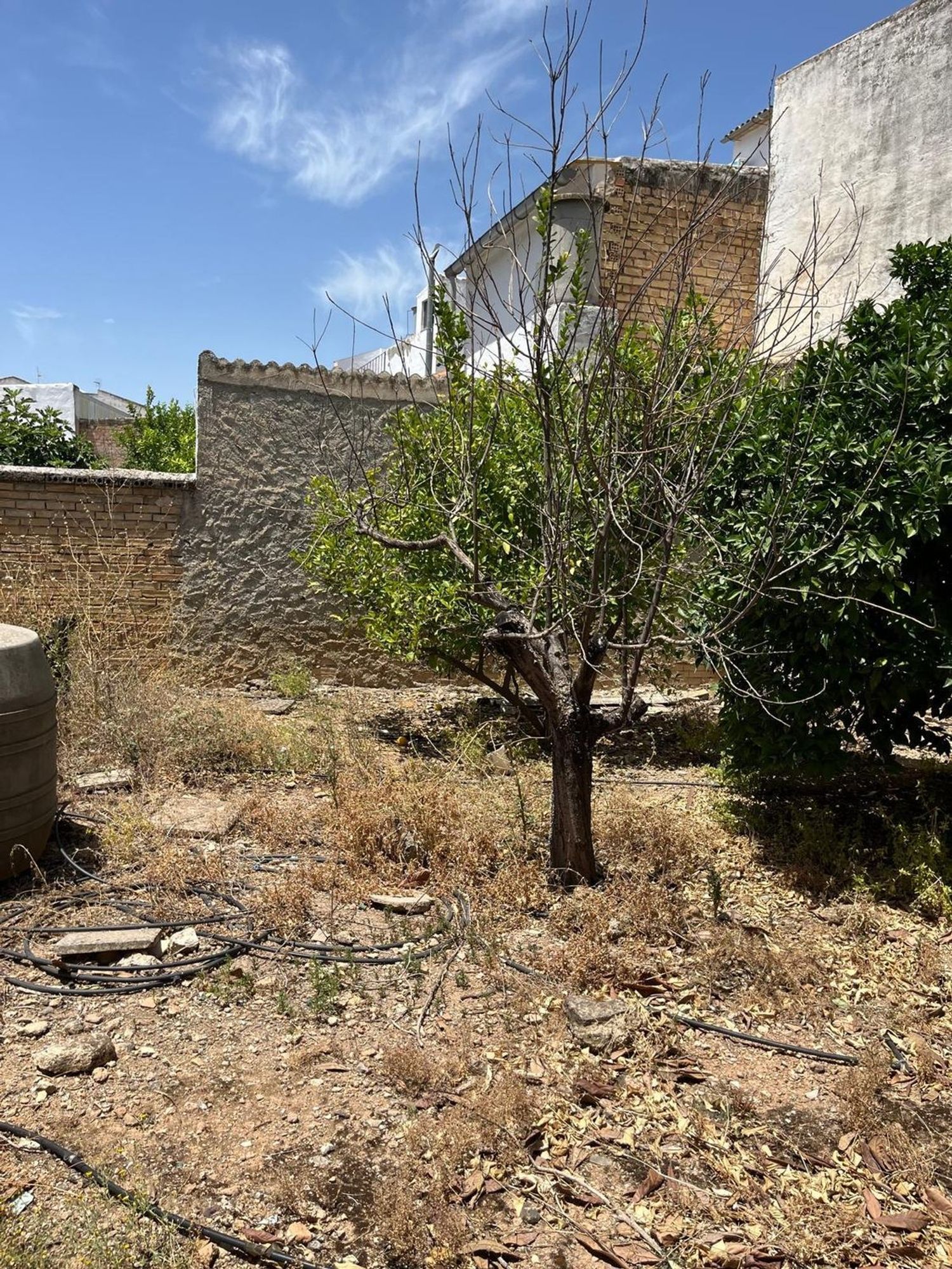Casa de pueblo en Calle Beata, 39 - Foto 6