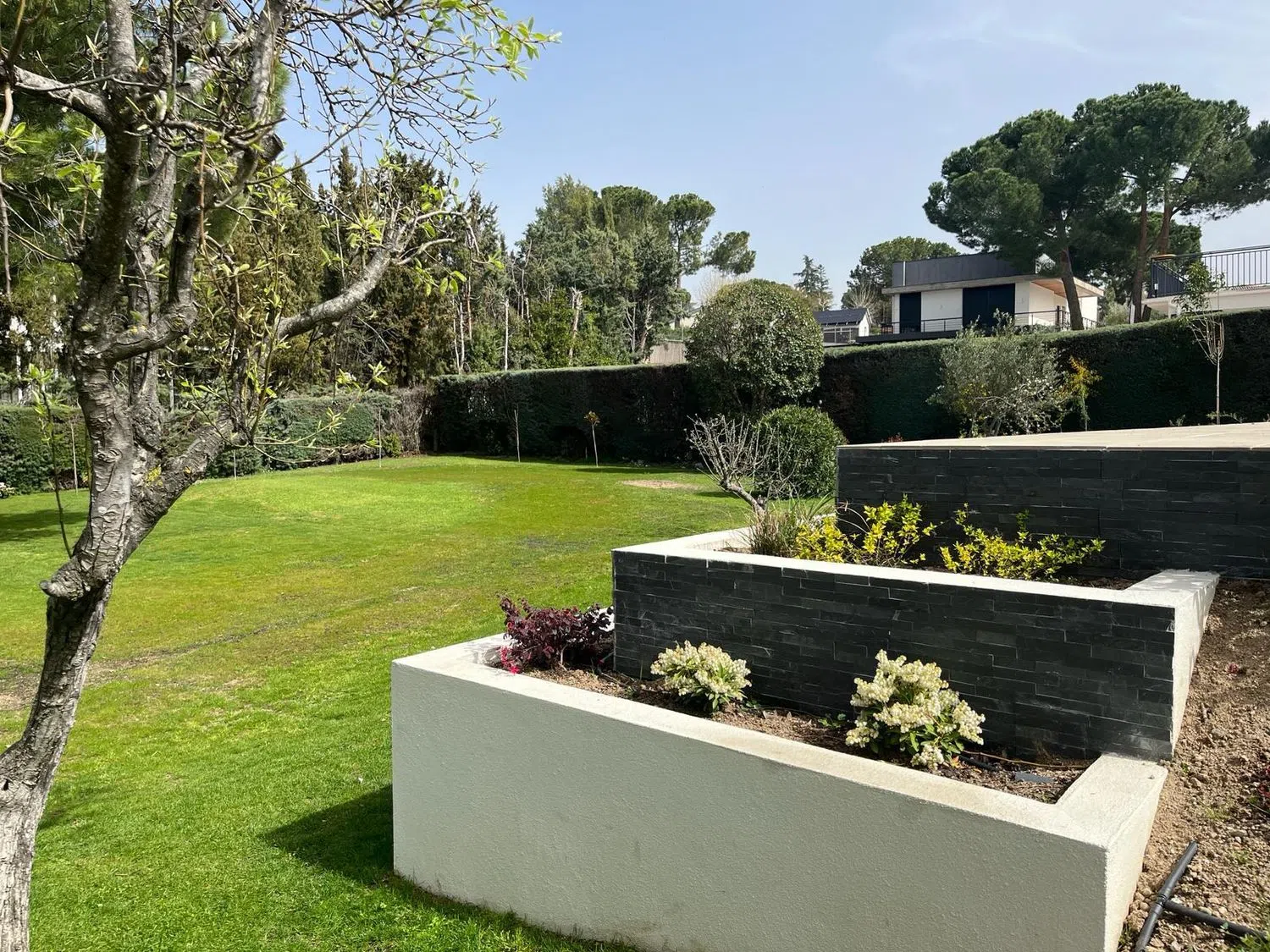 Casa independiente en Urb. bonanza Bonanza - Foto 31