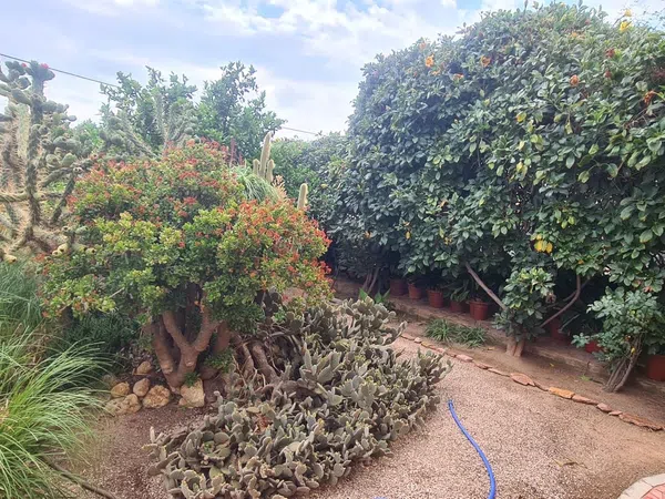 Casa o chalet independiente en Pablo Iglesias, 5, Villaricos, Villaricos - Foto 36