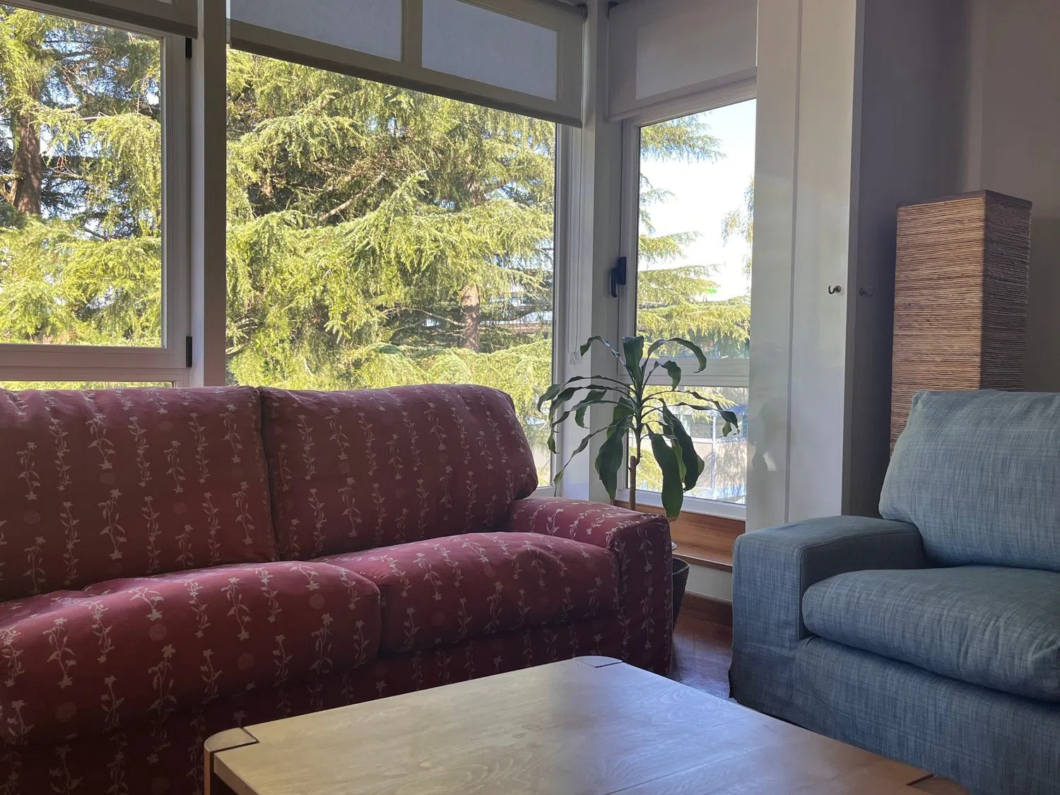 Dúplex en Campus sur - Santa Marta - Foto 3