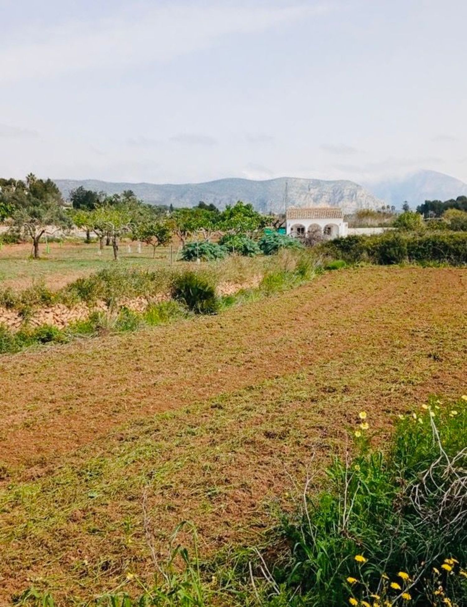Casa o chalet independiente en Carretera Teulada - Benimarco, 19 a - Foto 15