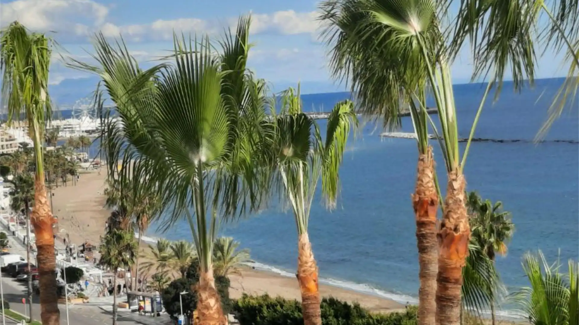 Piso en  Avenida del Parque 3 - Foto 16