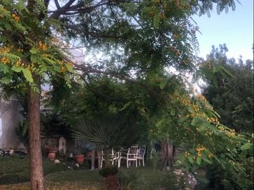 Chalet en  Carrer de la Via Làctia 173 - Foto 65