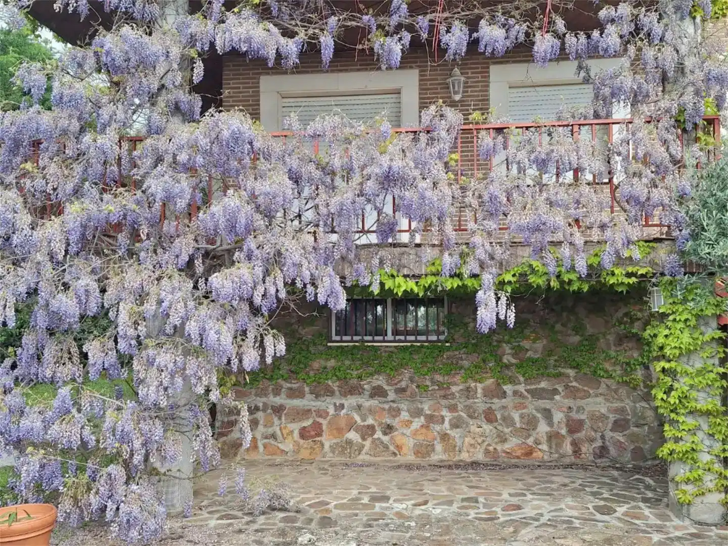 Piso en  Urbanización San Pedro de Alcántara 46 - Foto 14