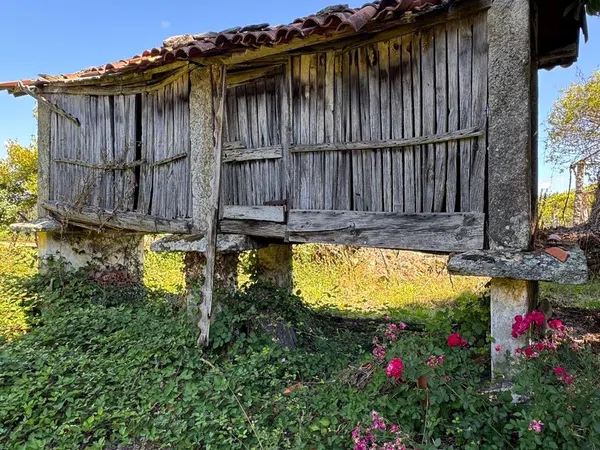 Finca rústica en San Cristóbal de Remesar, 3 - Foto 6