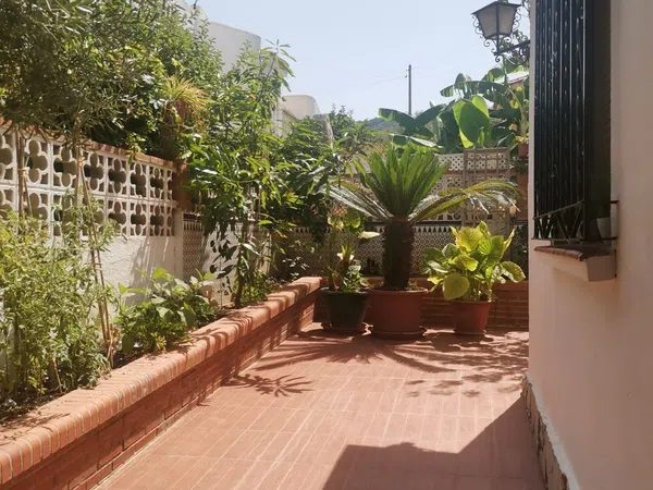 Casa o chalet independiente en Calle Mayoral, 19, Manantiales - Lagar - Cortijo, Manantiales - Lagar - Cortijo - Foto 38