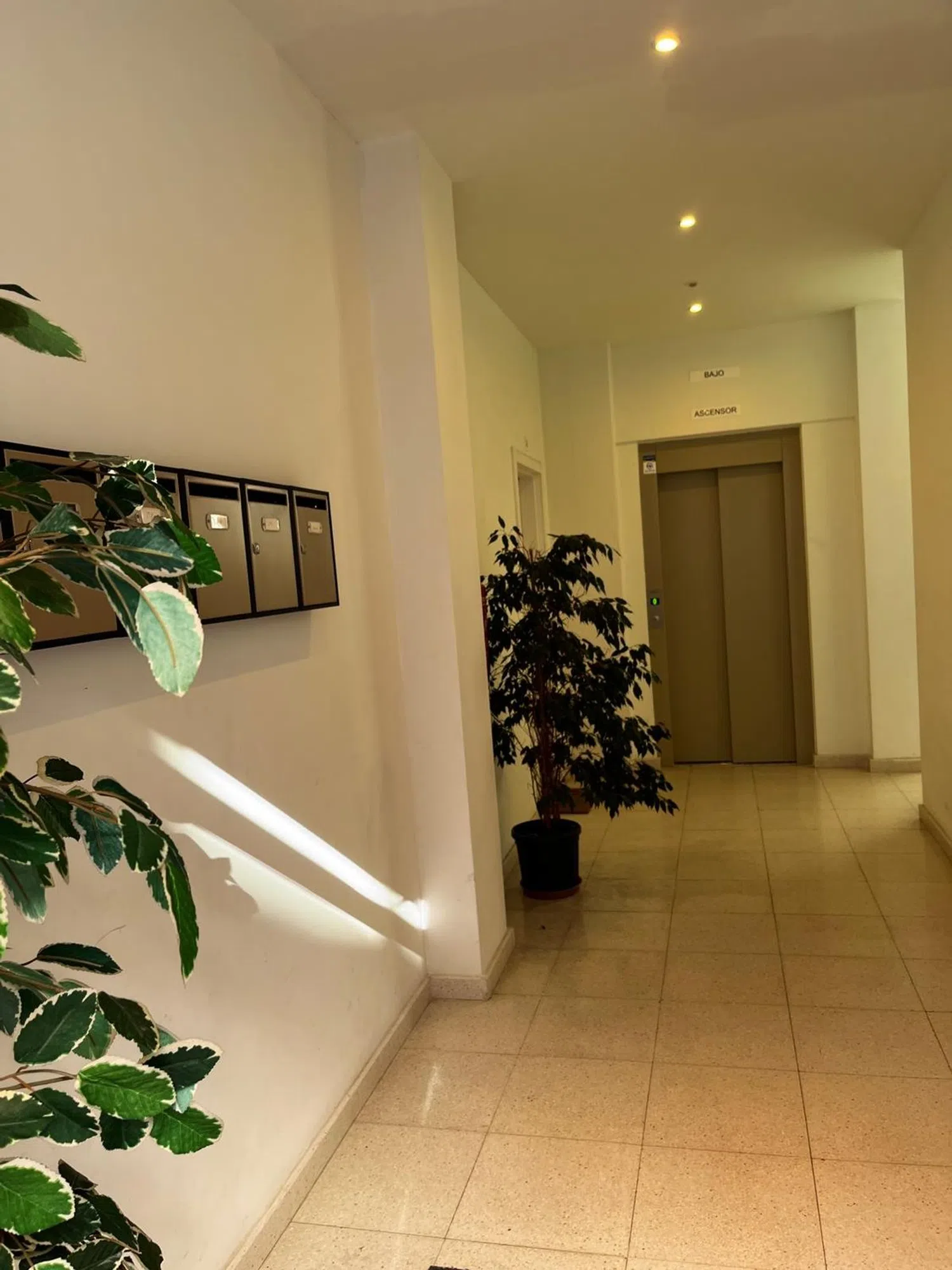 Estudio en calle de los Vizcaínos, 6 - Foto 3