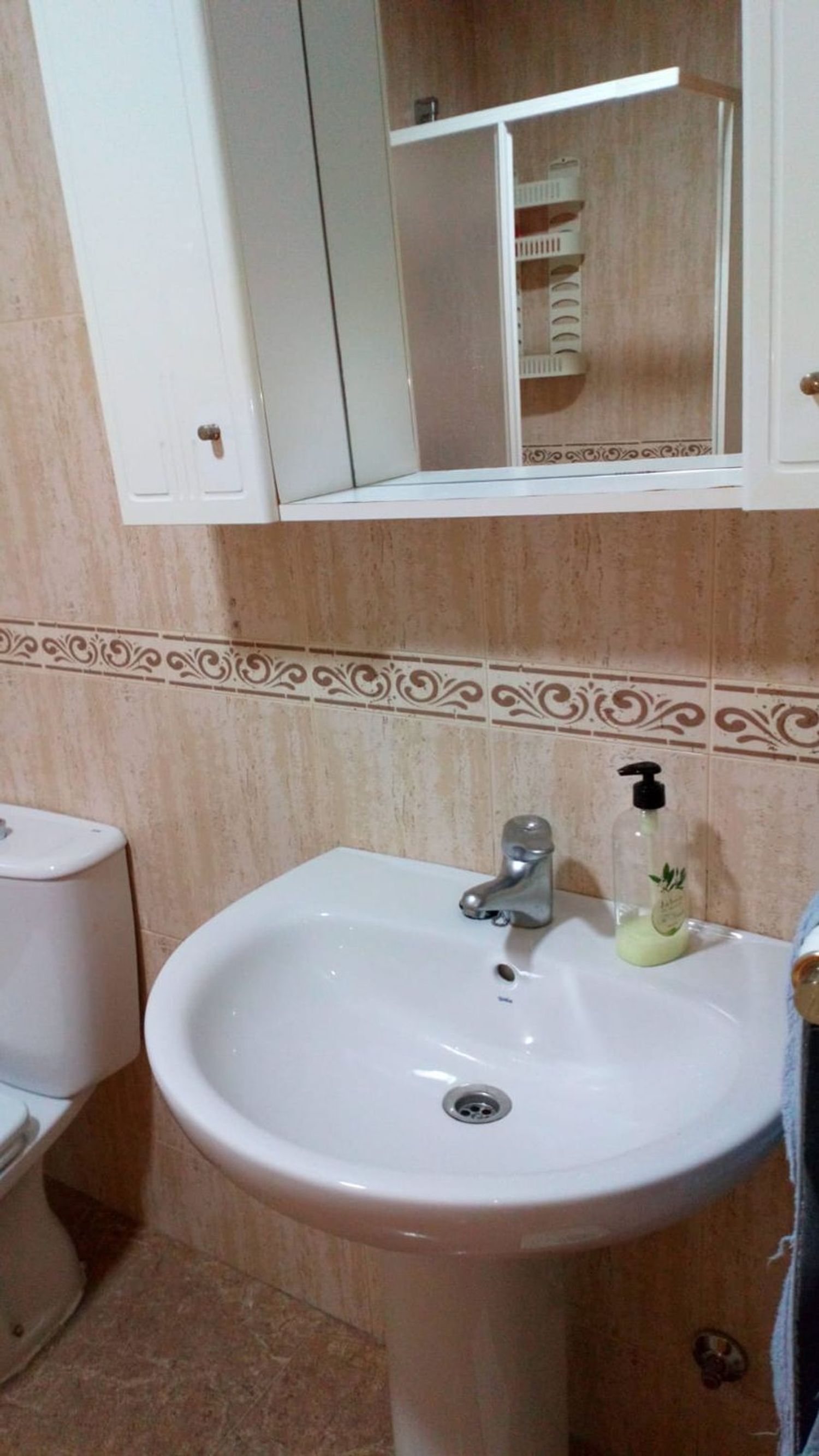 Piso en Paseo Marítimo, 1, Las Marinas, Las Marinas - Foto 16