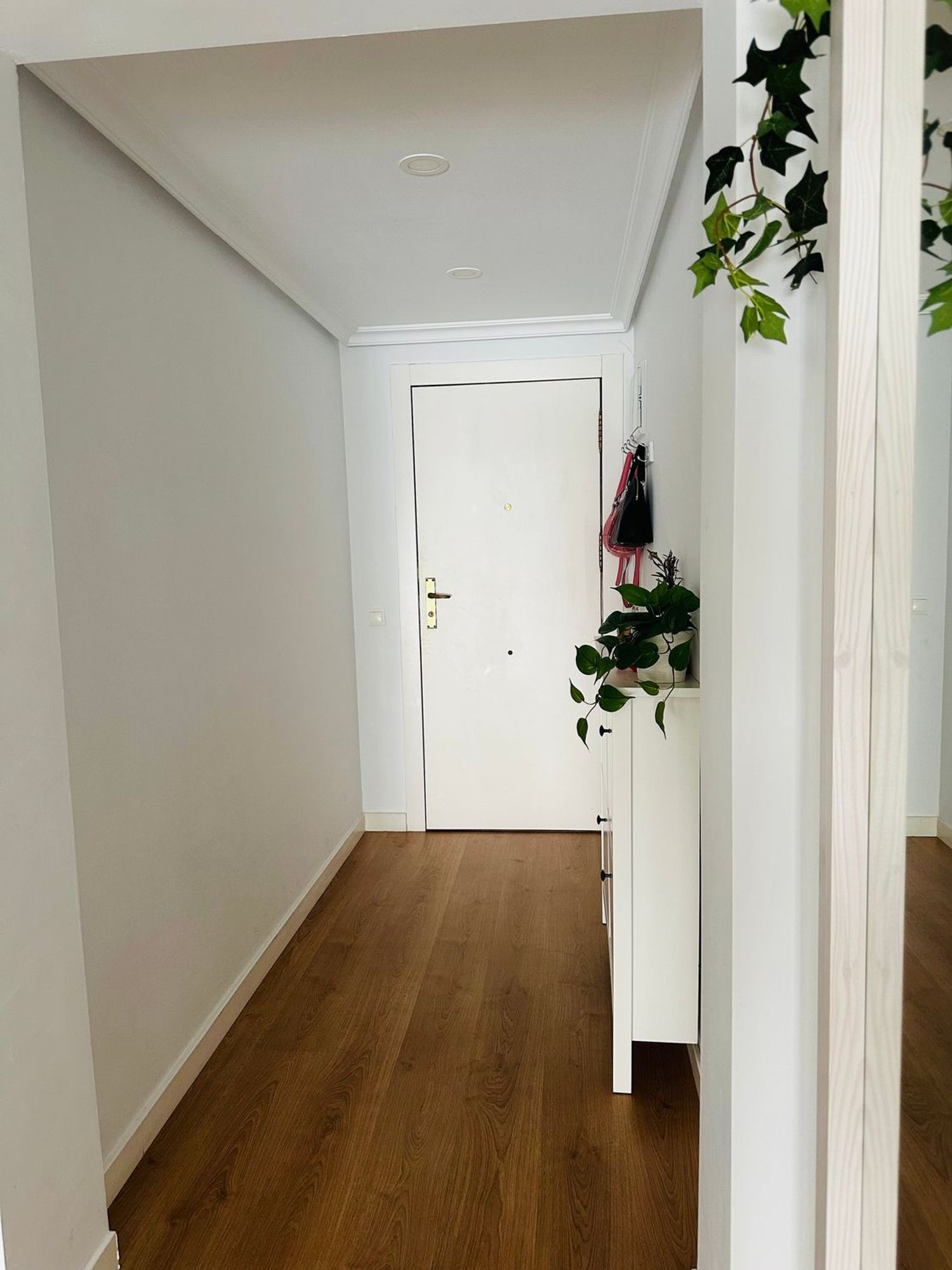 Piso en Avenida Ana de Viya, 54, Playa Victoria - Paseo Marítimo, Playa Victoria - Paseo Marítimo - Foto 2