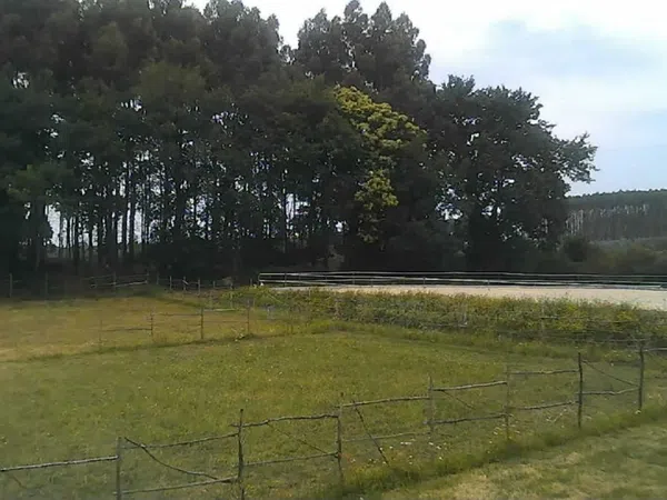 Finca rústica en Dp-3201, 6 - Foto 16