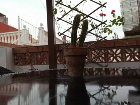 Dúplex en calle del Progrés, 83