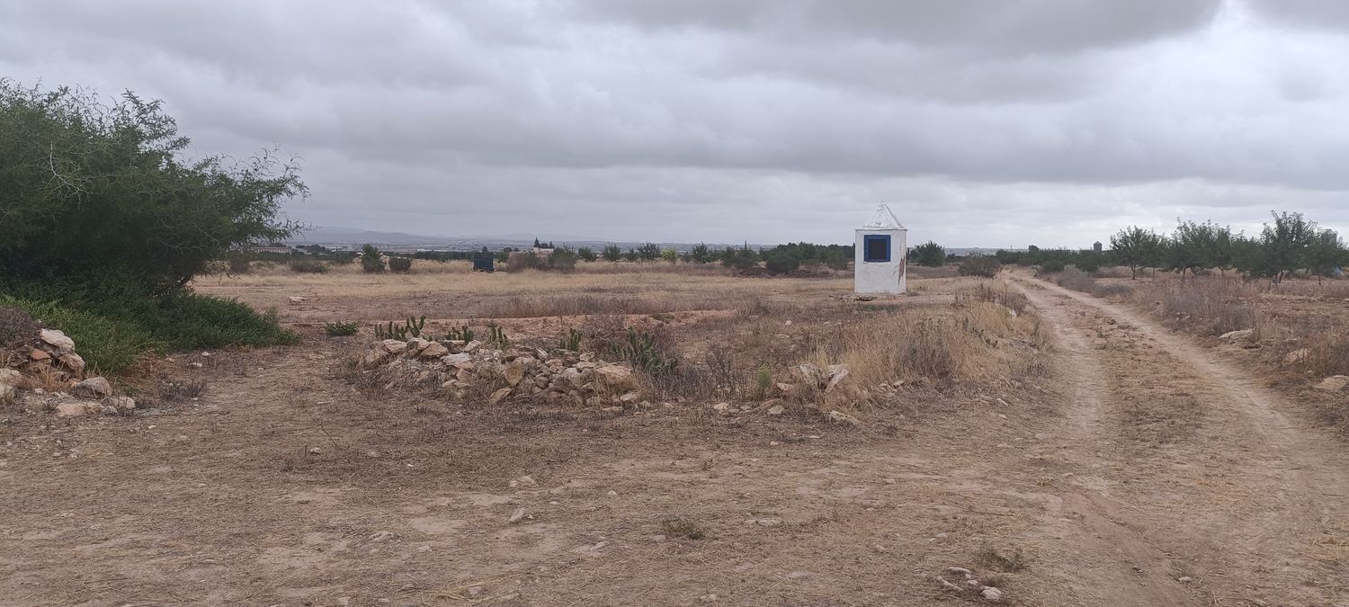 Casa rural en Paraje el aljibe, 87, Cánovas - Cuevas de Reyllo - Foto 12