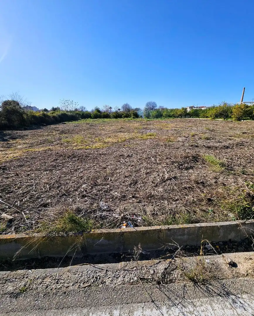 Terreno Residencial en  Camino de la Olma 28 - Foto 4