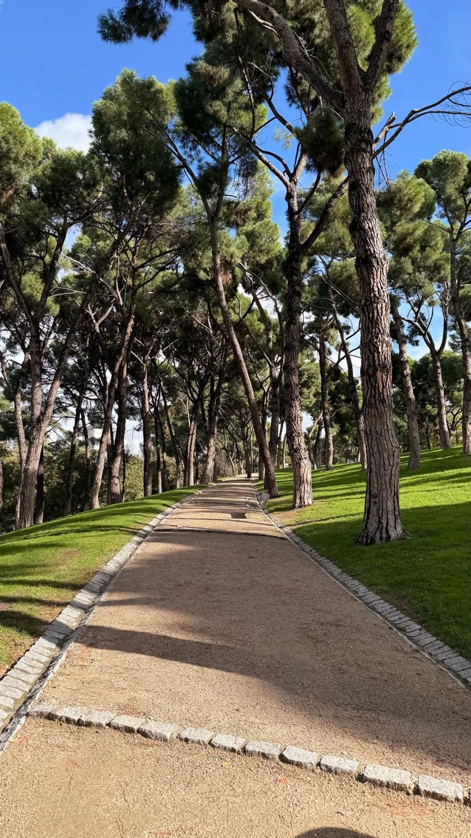 Piso en calle de Romero Robledo, 26 - Foto 20