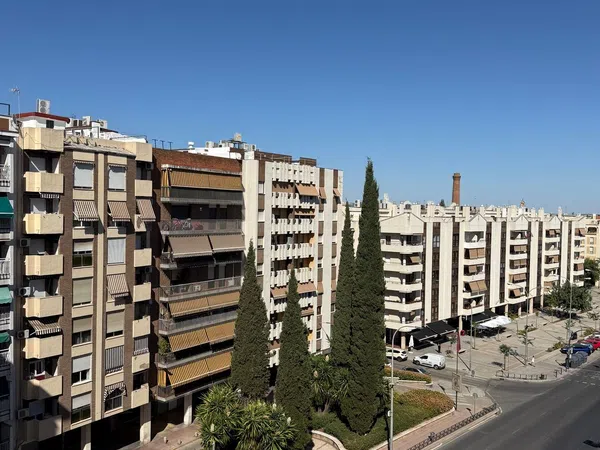 Piso en Plaza del Moreno, 1, San Cayetano - Foto 14
