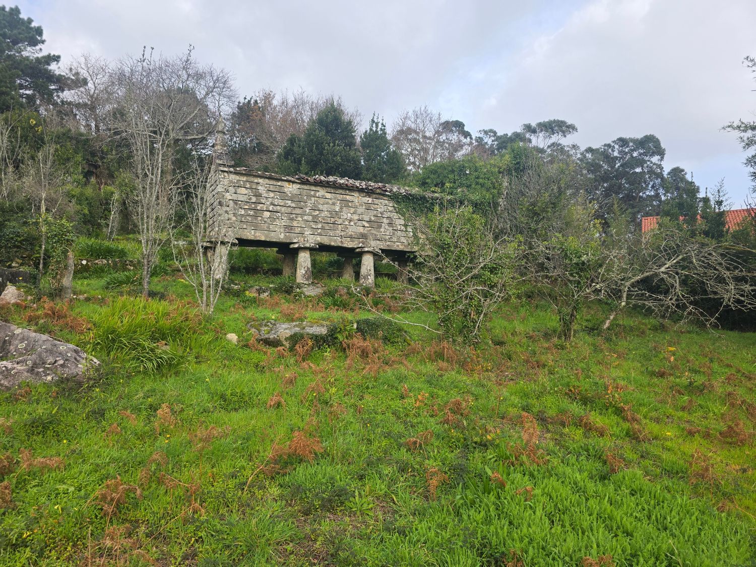 Caserón en pazo, 3 - Foto 11