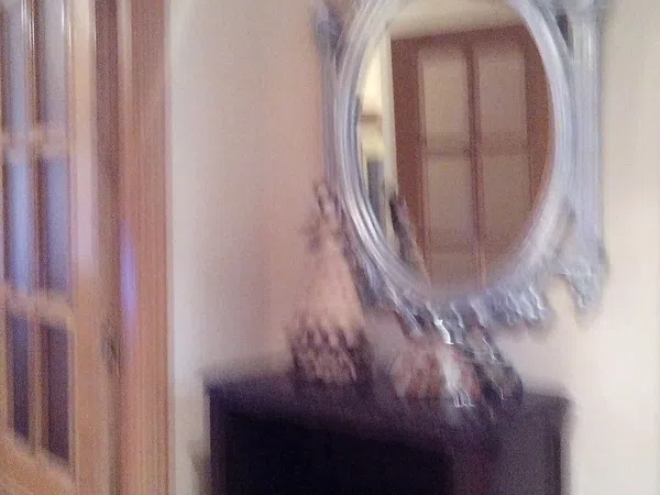 Piso en calle científico jaime santana, 1 - Foto 11