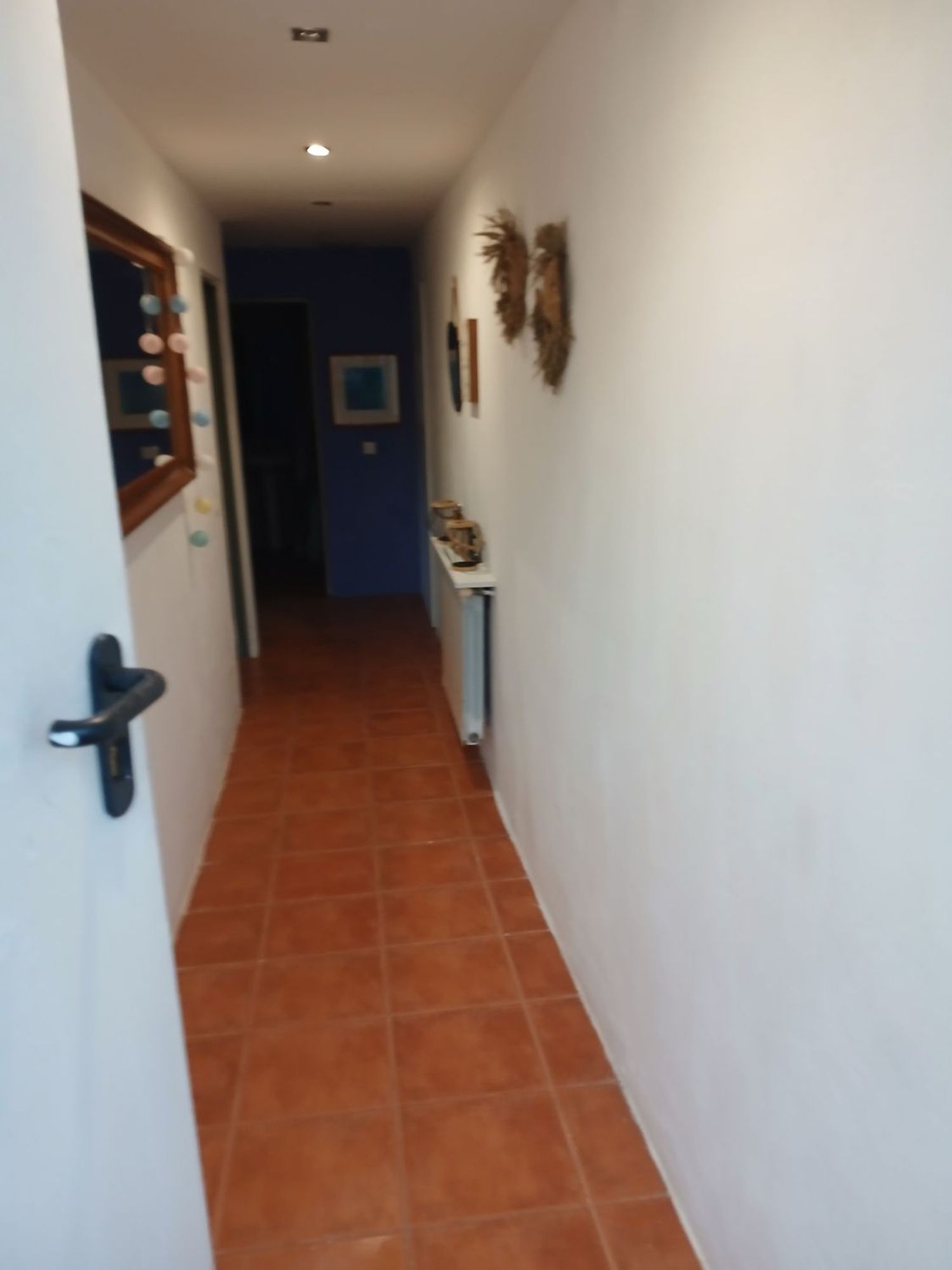Estudio en Carretera de Camprodon, 1 - Foto 7