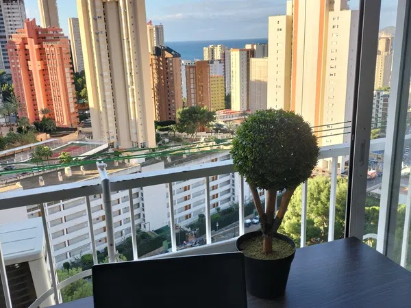 Piso en Avenida de Montecarlo, 26, Zona Sierra Helada - Foto 5