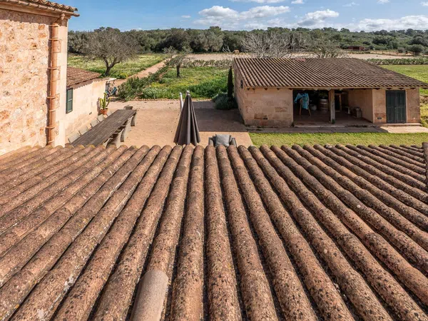 Finca rústica en Diseminado Son Xorc, 426 - Foto 10