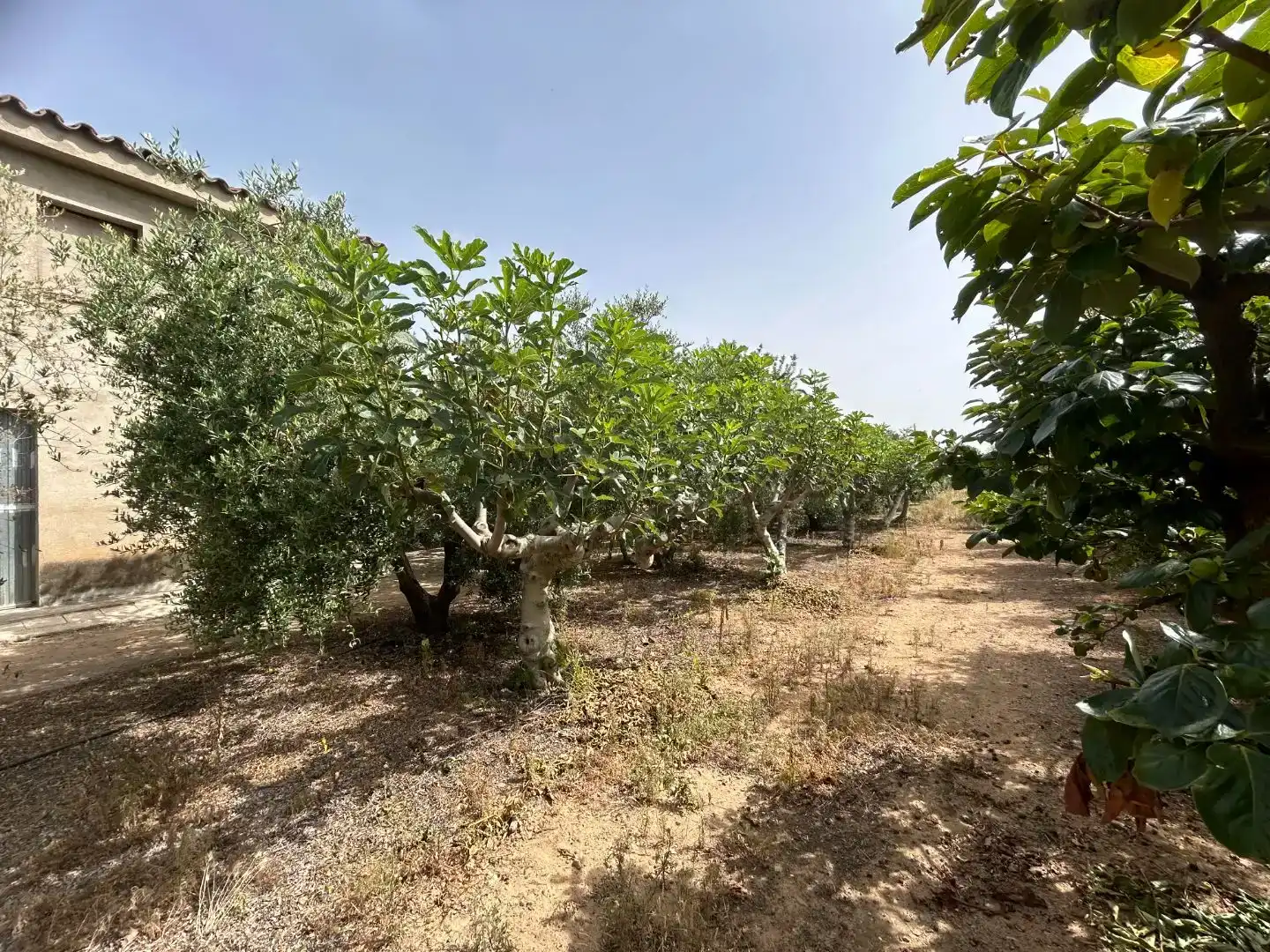 Finca rústica en  Camí de Sant Joan 1 - Foto 20