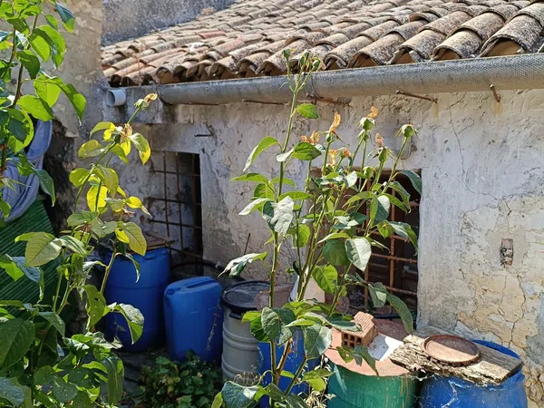 Casa terrera en Paraje Las Fuentes s/n - Foto 24