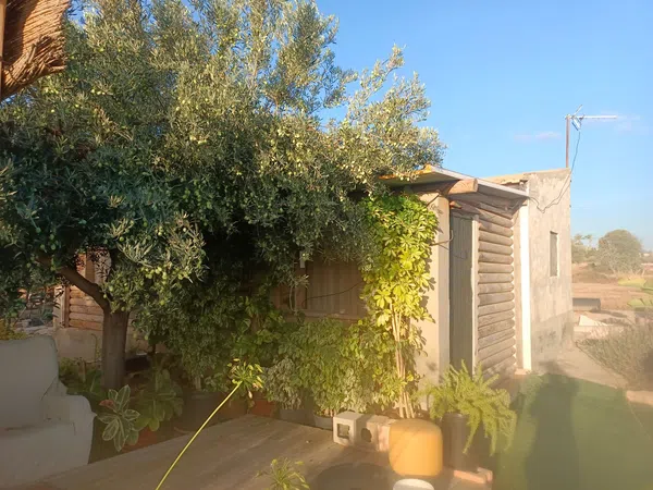 Casa rural en Partida Les penyetes polígono 9 parcela 150, 14, Centro, Centro - Foto 11