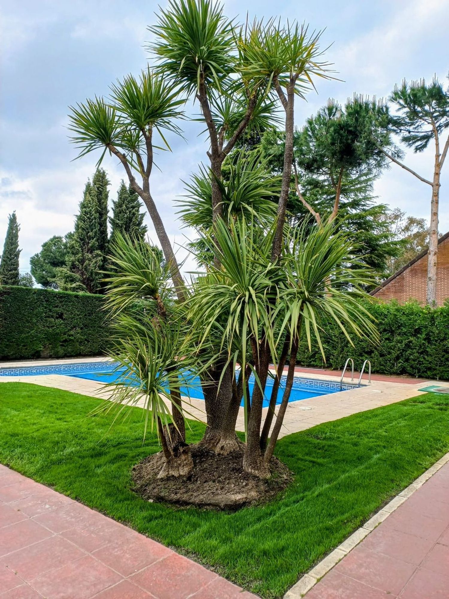 Casa independiente en El Olivar de Mirabal - Foto 18