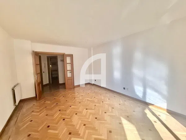 Piso en paseo de Juan Antonio Vallejo-Nájera Botas