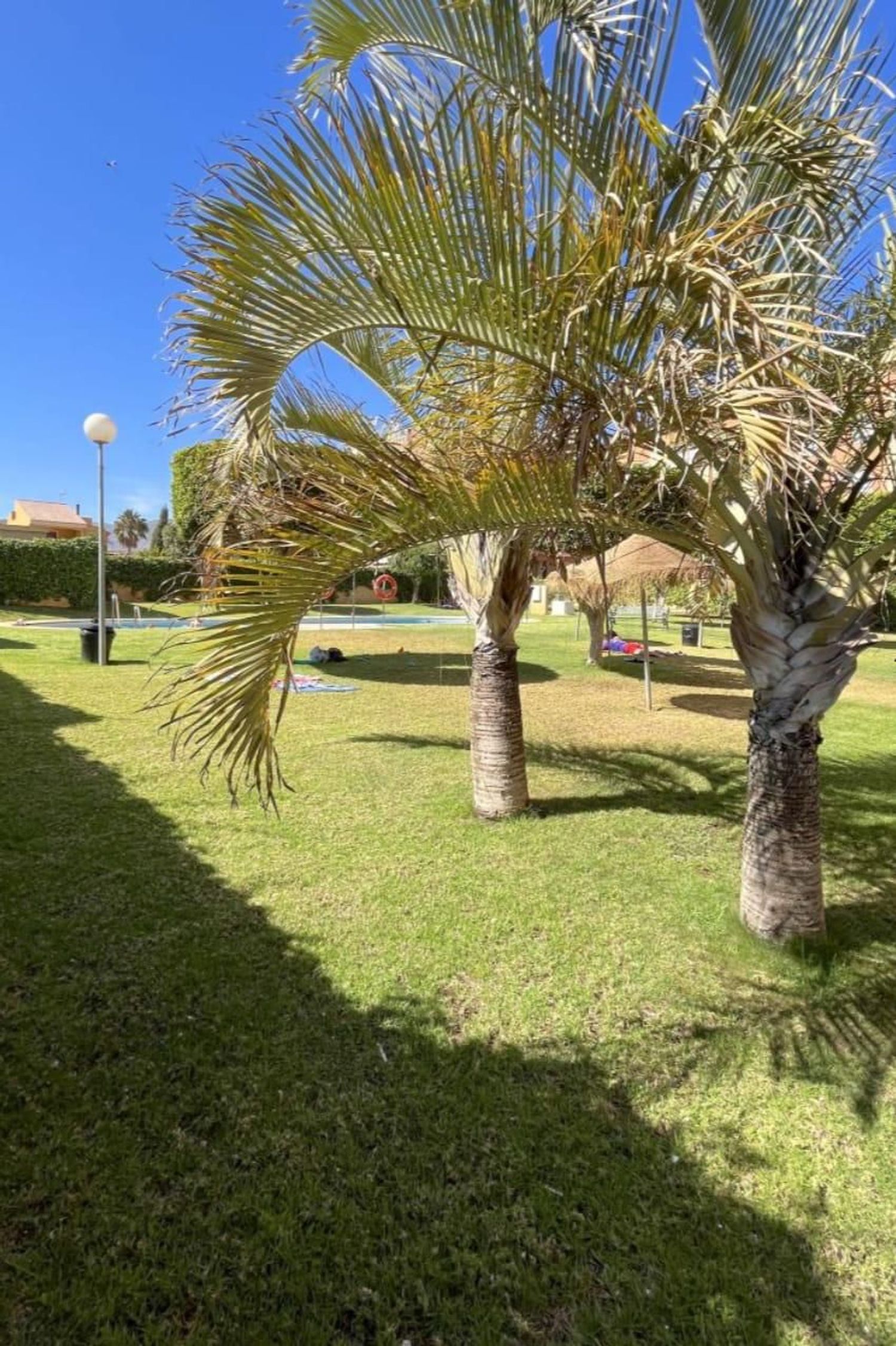 Piso en Camino de los Parrales, 121, Aguadulce sur - Foto 5
