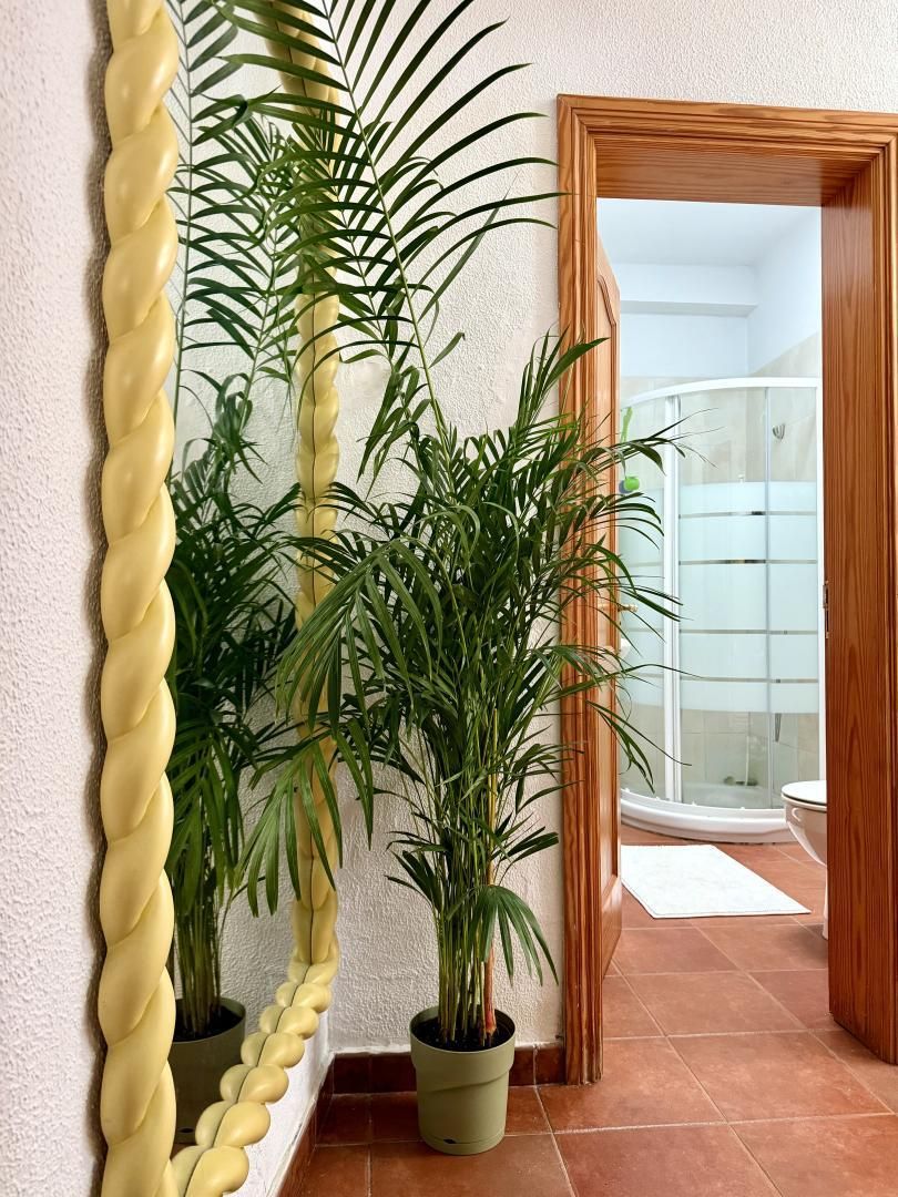 Casa adosada en  GC-320 72 - Foto 3