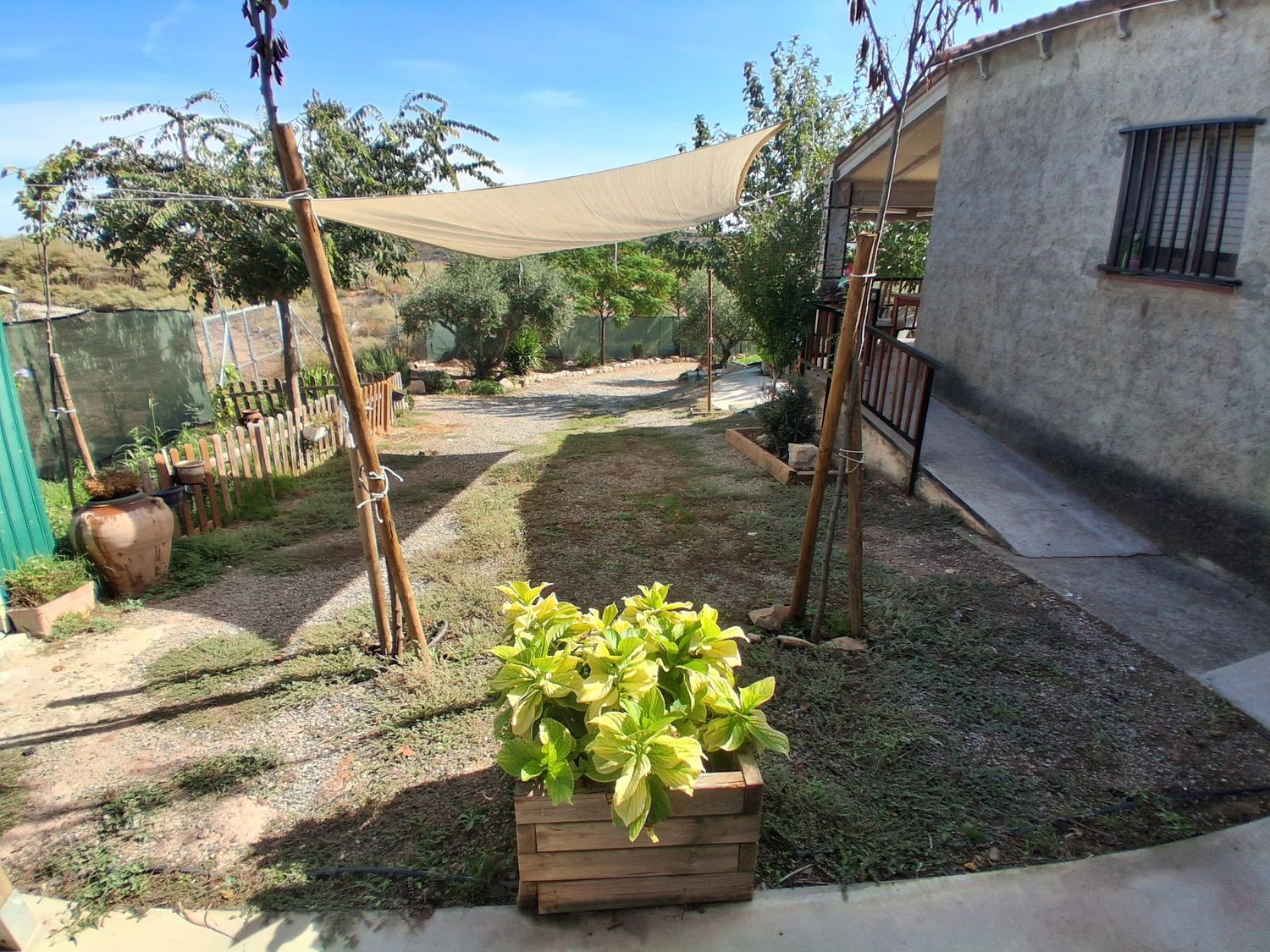 Finca rústica en Partida Poligono 01, 6 - Foto 12