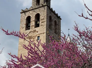 Casa adosada en Sant Cugat del Vallès - Foto 25