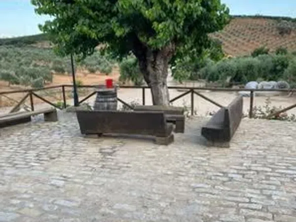 Finca rústica en Carretera Constantina, 4 Fincarusticaenctraconstantinakm - Foto 6