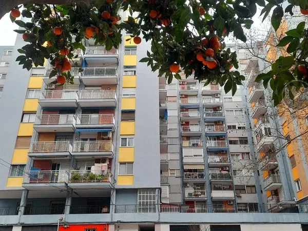 Piso en Calle de les Illes Canàries, 112, La Creu del Grau - Foto 13