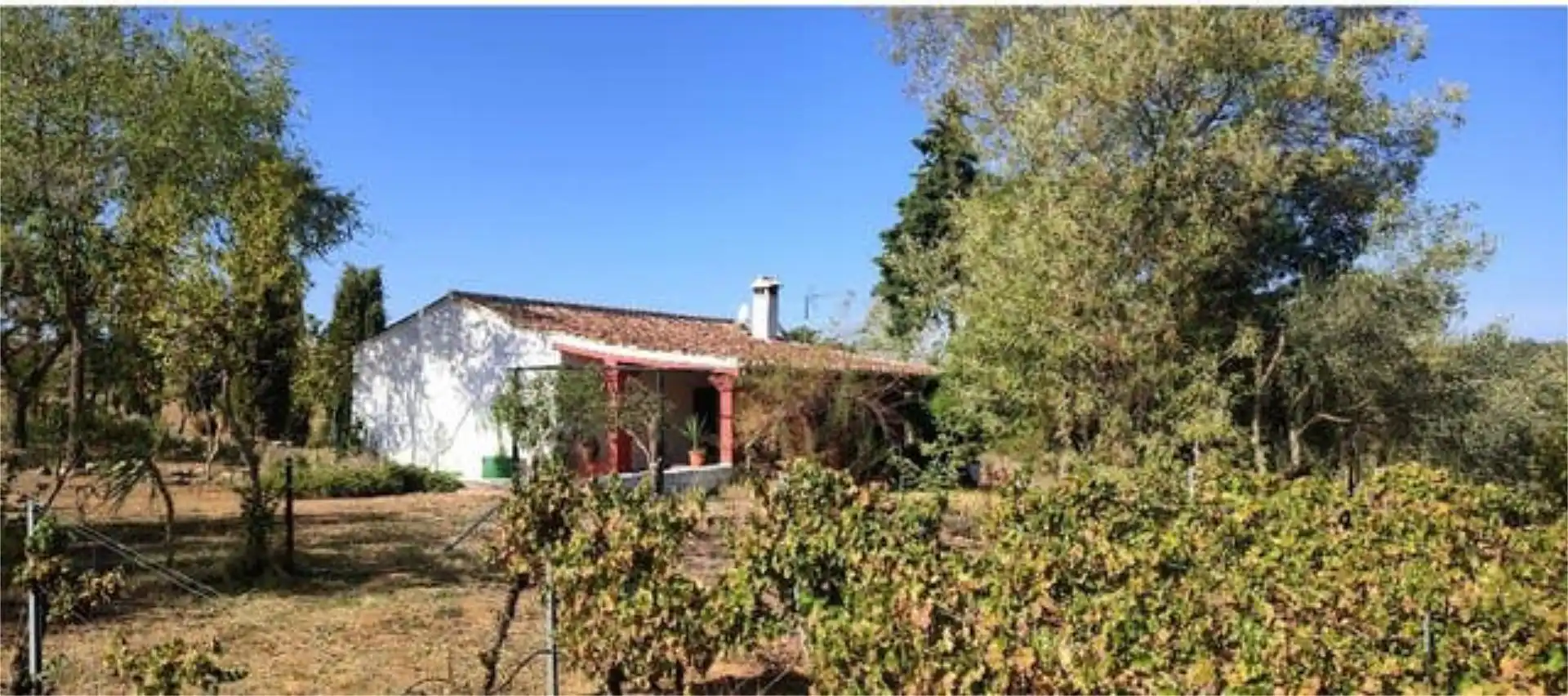 Chalet en campo - Foto 9