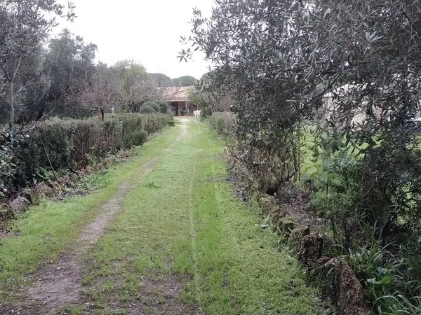 Casa rural en La Chacona, 6, Villanueva Golf, Villanueva Golf - Foto 15