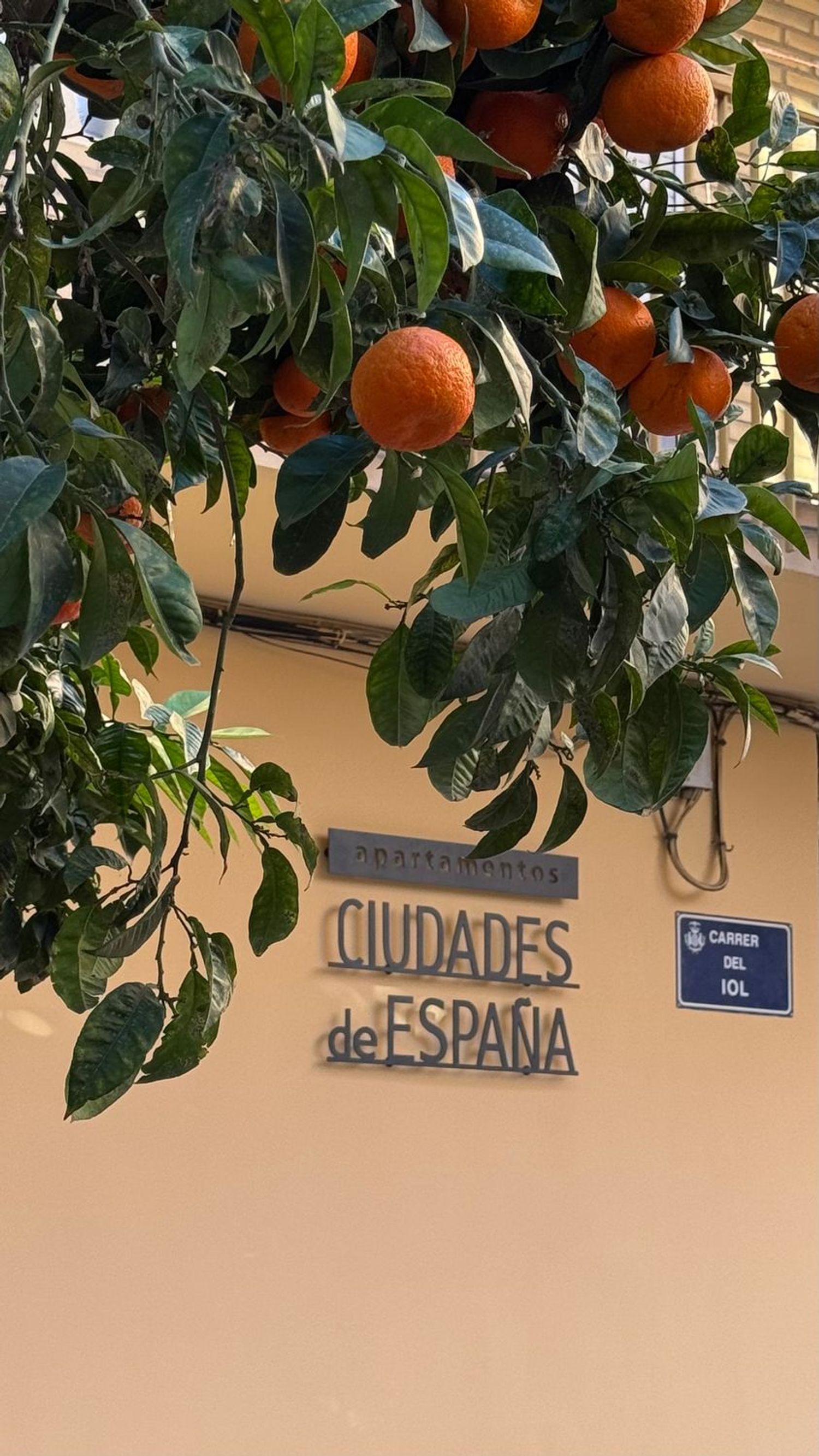 Estudio en Calle del Iol, 2 - Foto 1